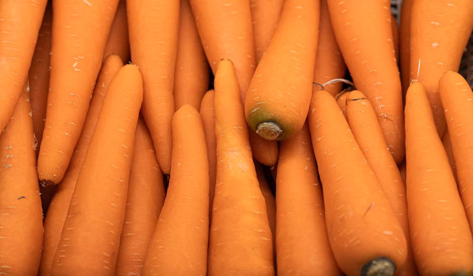 Hortifruti